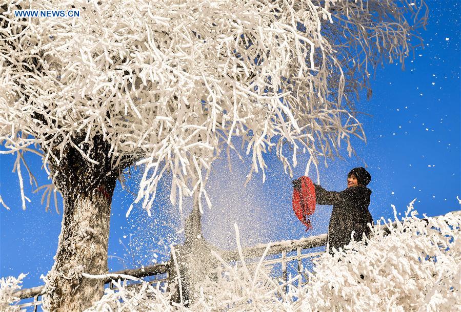 CHINA-JILIN-RIME (CN)