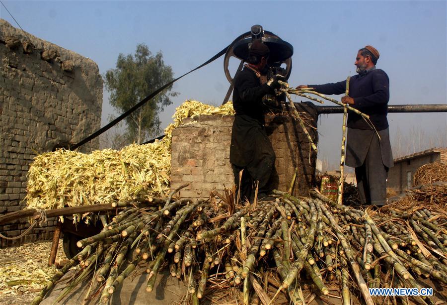 PAKISTAN-PESHAWAR-SUGAR BALLS