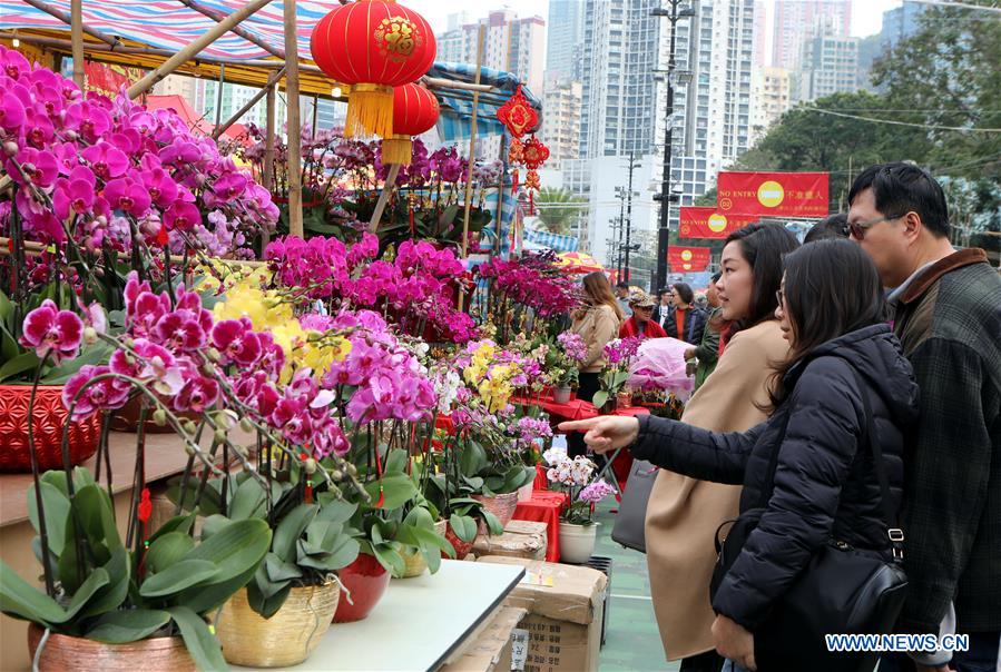 CHINA-HONG KONG-LUNAR NEW YEAR FESTIVAL-FAIR