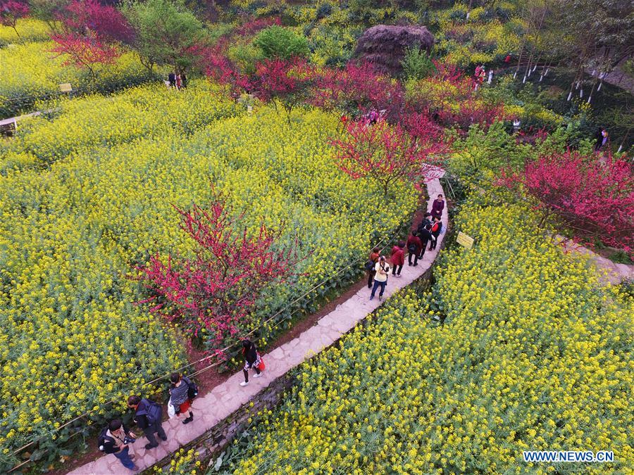 CHINA-CHONGQING-SPRING (CN)