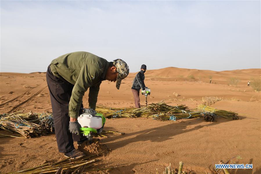 CHINA-INNER MONGOLIA-KUBUQI DESERT-WORKERS (CN)