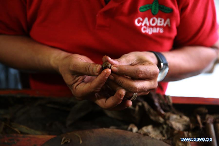 THE DOMINICAN REPUBLIC-SANTO DOMINGO-CIGAR FACTORY