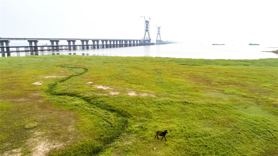 #CHINA-JIANGXI-POYANG LAKE-BRIDGE (CN)