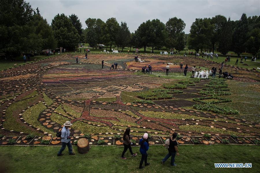 MEXICO-TEPOTZOTLAN-FLOWER CARPET