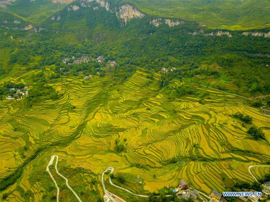 CHINA-CHONGQING-FARMWORK-TOURISM (CN)