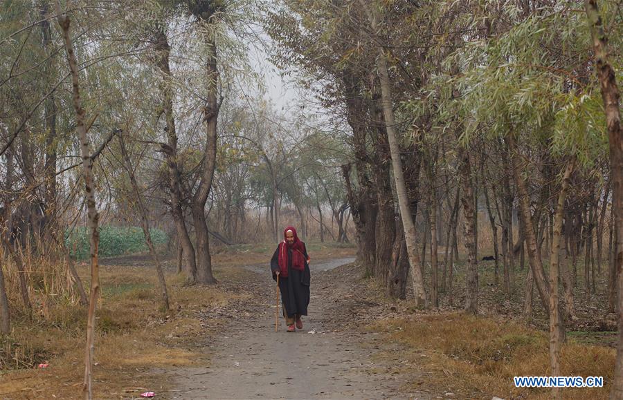 INDIAN-CONTROLLED KASHMIR-SRINAGAR-WEATHER