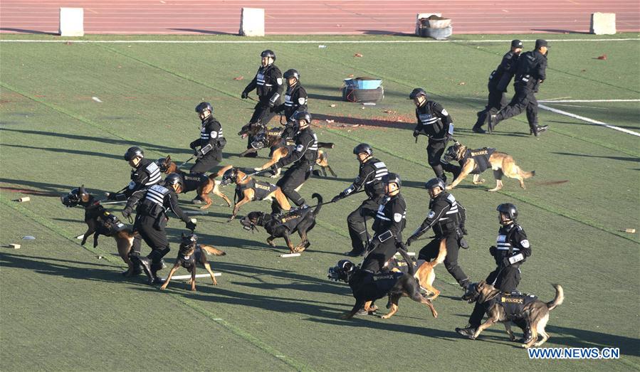 CHINA-BEIJING-POLICE DOG-SKILL COMPETITION (CN)