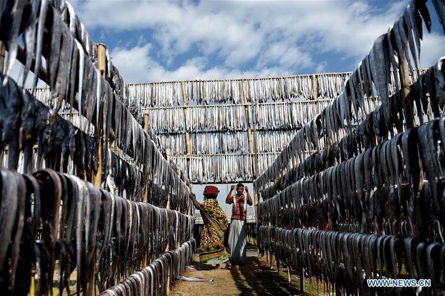 BANGLADESH-COX'S BAZAR-FISH DRYING