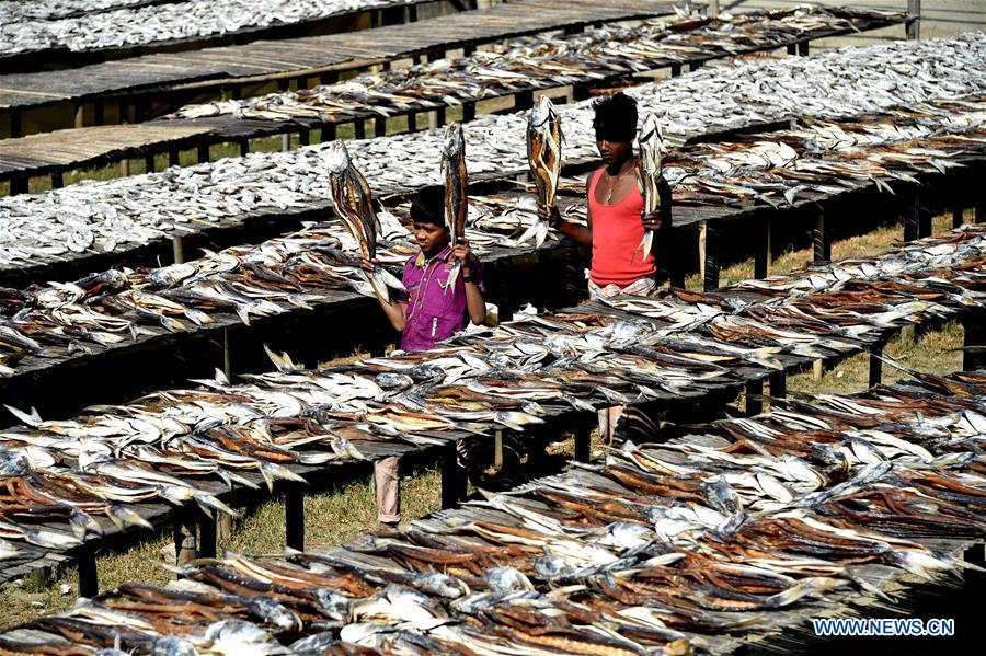 BANGLADESH-COX'S BAZAR-FISH DRYING