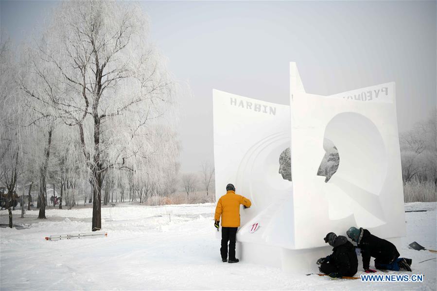 CHINA-HEILONGJIANG-HARBIN-SNOW SCULPTURE (CN)