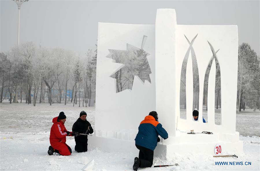 CHINA-HEILONGJIANG-HARBIN-SNOW SCULPTURE (CN)