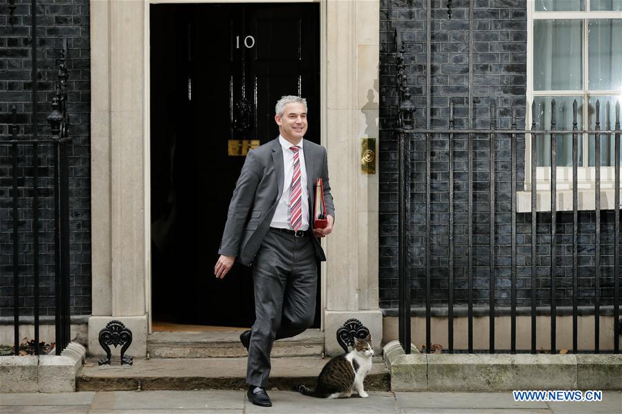 BRITAIN-LONDON-CABINET MEETING