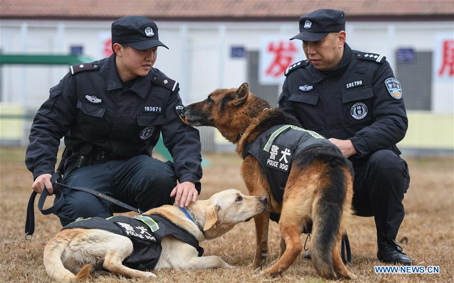 CHINA-HUBEI-WUHAN-POLICE DOG-TRAINING (CN) 