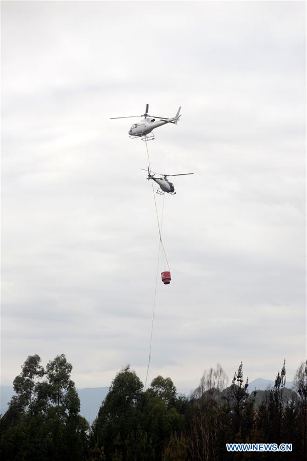 NEW ZEALAND-SOUTH ISLAND-BUSH FIRE