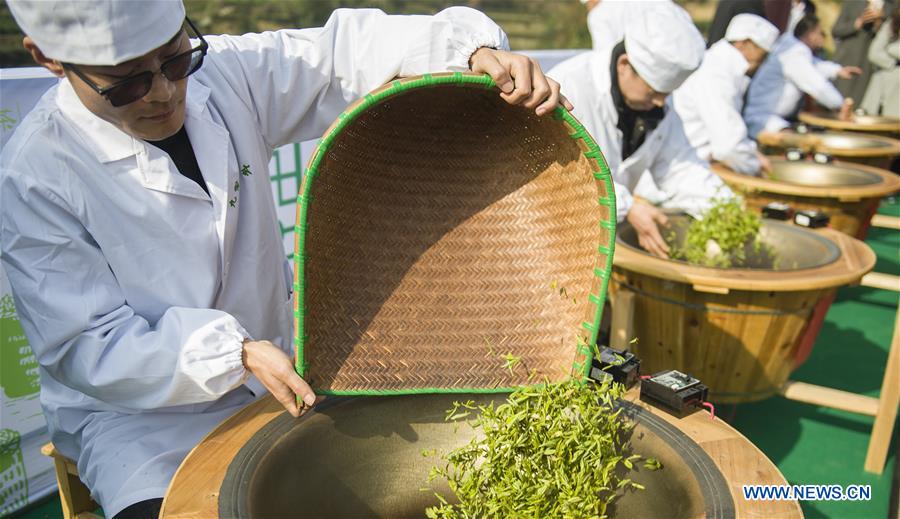 #CHINA-ZIGUI-EARLY SPRING TEA (CN)