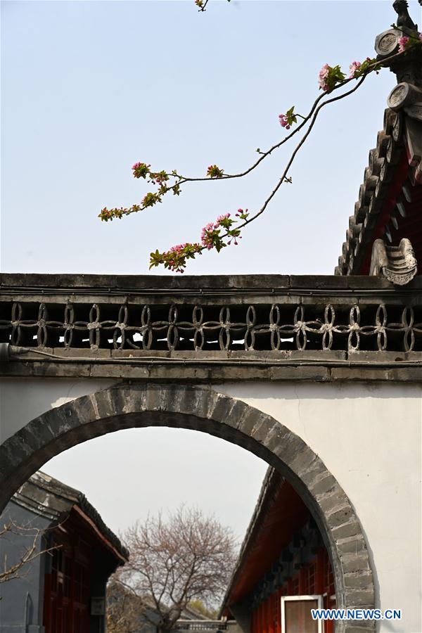 (InPalaceMuseum)CHINA-BEIJING-PALACE MUSEUM-FLOWERS (CN)