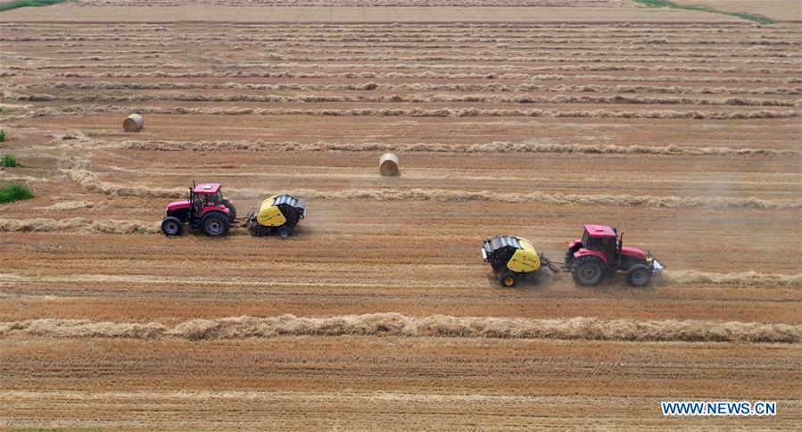 #CHINA-WHEAT STRAW-RECYCLING (CN)