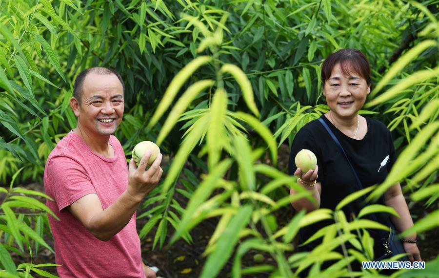 CHINA-CHONGQING-BANAN-PEACH-RURAL DEVELOPMENT (CN)