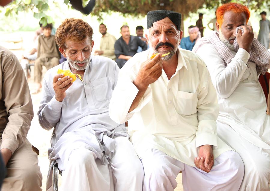 PAKISTAN-VEHARI-MANGO 