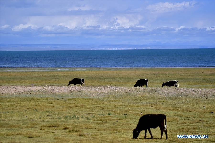 CHINA-QINGHAI-LAKE-TOURISM (CN)