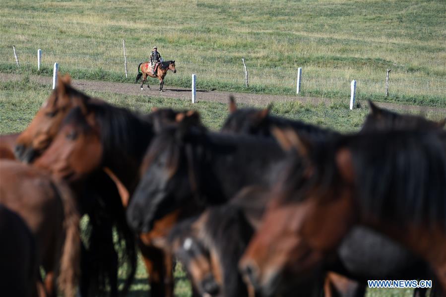 CHINA-GANSU-HORSE RANCH (CN)