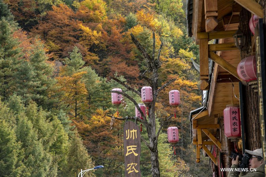 CHINA-HUBEI-SHENNONGJIA-AUTUMN SCENERY (CN)