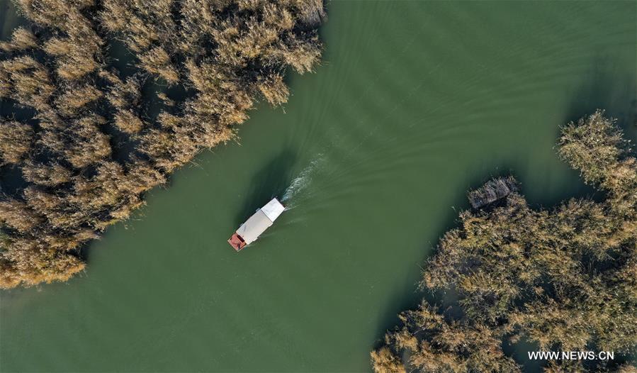 CHINA-NINGXIA-SHAHU LAKE-SCENERY (CN)