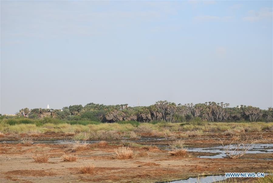 YEMEN-ADEN-NATURE RESERVE