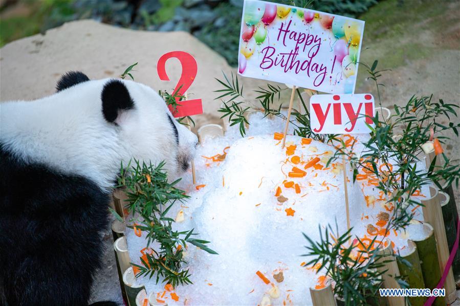 MALAYSIA-KUALA LUMPUR-GIANT PANDA-BIRTHDAY