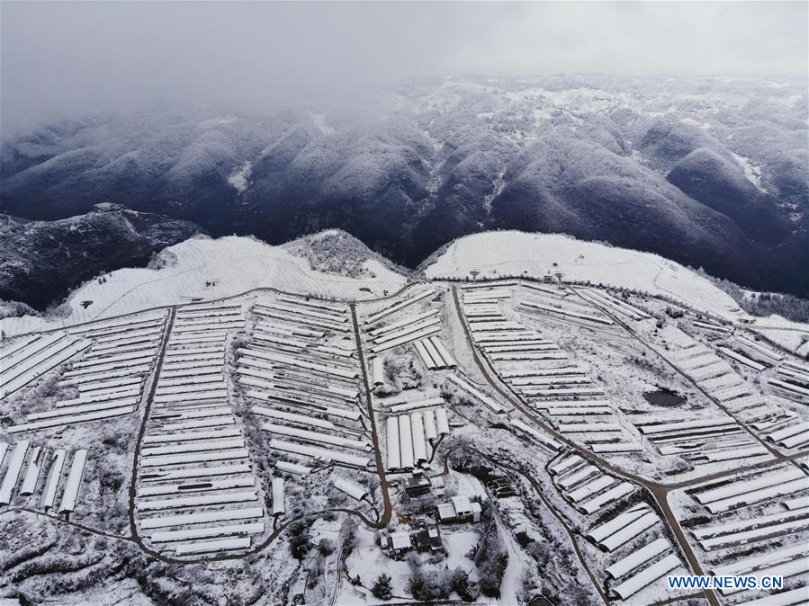 #CHINA-GUIZHOU-BIJIE-SNOW SCENERY (CN)