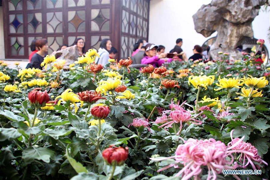 #CHINA-JIANGSU-SUZHOU-CHRYSANTHEMUM-EXHIBITION (CN) 