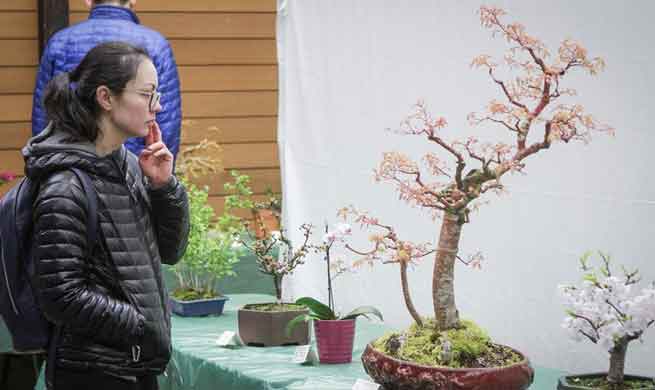 Spring Bonsai and Flower Exhibition held in Vancouver