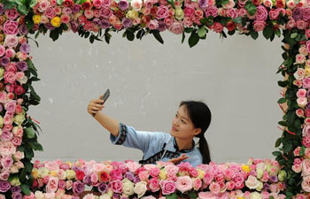 Fair of Chinese rose held in China's Guizhou