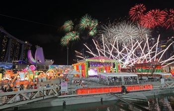 Singapore celebrates Chinese Lunar New Year with fireworks