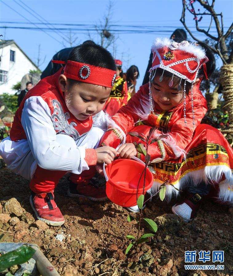 （社会）（3）多民族儿童共迎植树节