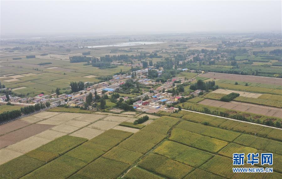 （全面建成小康社会“百城千县万村调研行”·图文互动）（2）宁夏华寺村：做活“土”文章 村民享小康