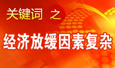 张平：今年经济出现放缓迹象是多重因素的影响