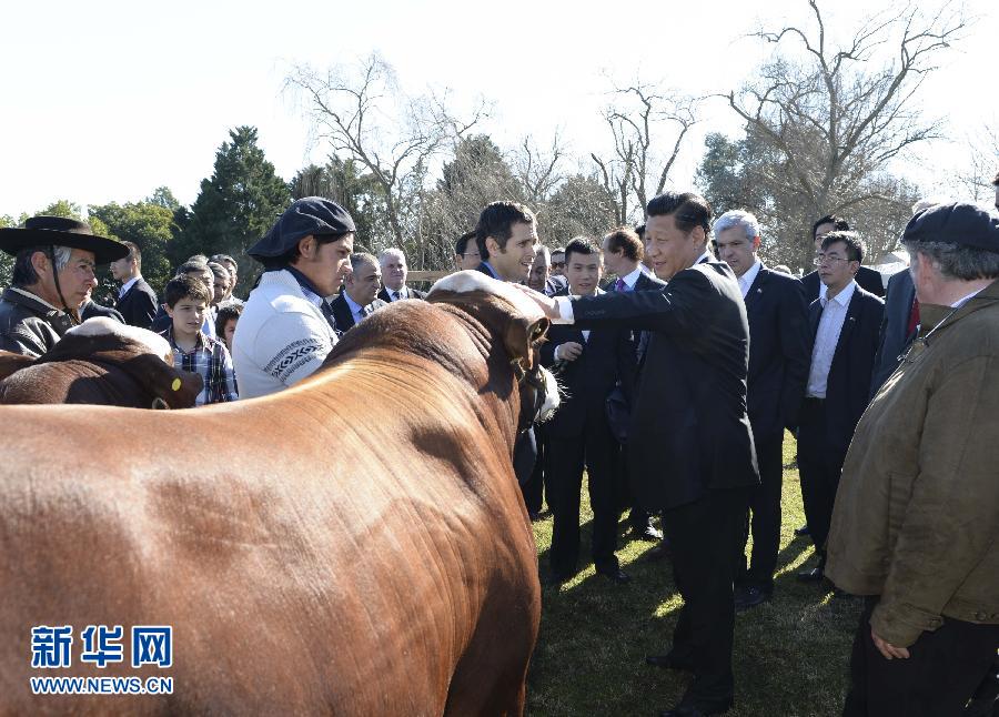 当地时间7月19日，正在对阿根廷进行国事访问的国家主席习近平参观共和国庄园，考察阿根廷农牧业，了解阿根廷农牧民文化特色。新华社记者马占成摄 